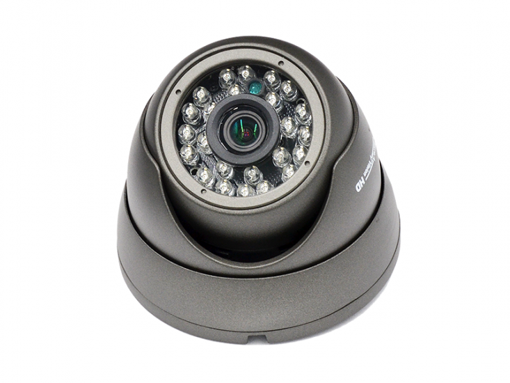 MV-IP1051MG (3.6) 1.0 Mp