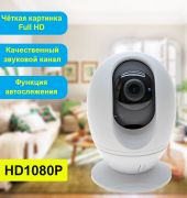 Онлайн камера видеонаблюдения WiFi поворотная 2Мп 1080P, для дома / офиса, с записью на карту памяти, с функцией воспроизведения голосовых сообщений. Microvision MV-W201HS.